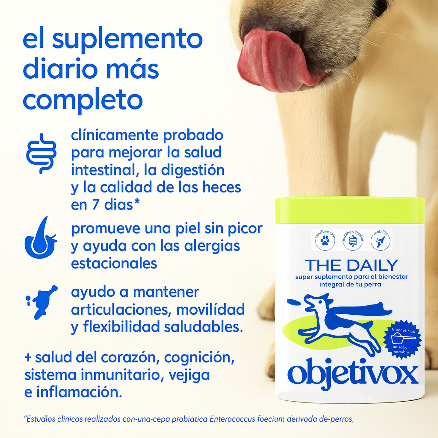 Suplemento Canino Todo en Uno